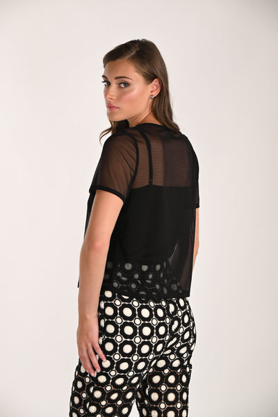 Sheer Allure Knit Top Frank Lyman